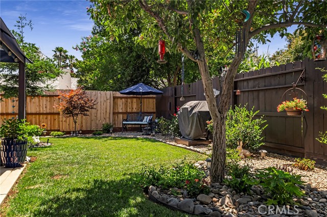 Manicured backyard.