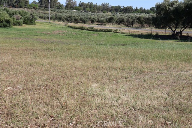 Detail Gallery Image 15 of 32 For 0 Carona Ave., Corning,  CA 96021 - – Beds | – Baths