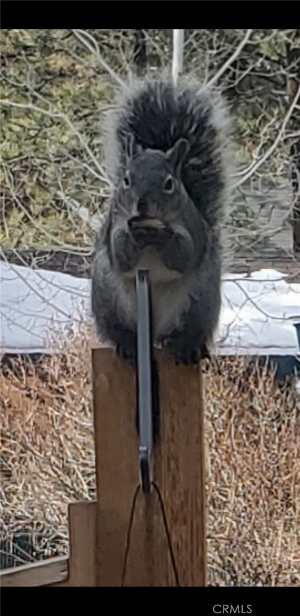Detail Gallery Image 23 of 50 For 41922 Centre Ct, Big Bear Lake,  CA 92315 - 3 Beds | 3/1 Baths