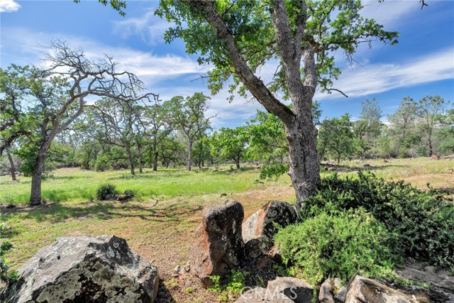 Detail Gallery Image 53 of 73 For 189 Indian Cliffs Drive, Chico,  CA 95973 - 3 Beds | 3/1 Baths