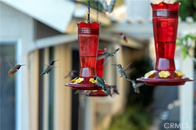 Detail Gallery Image 8 of 53 For 20 Southern Wood, Irvine,  CA 92603 - 3 Beds | 2 Baths