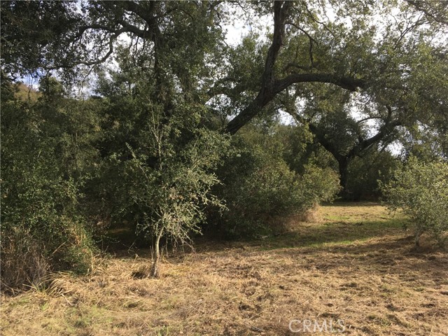 19879 Tenaja Road, Murrieta, California 92562, ,Land,For Sale,19879 Tenaja Road,CRSW22195708