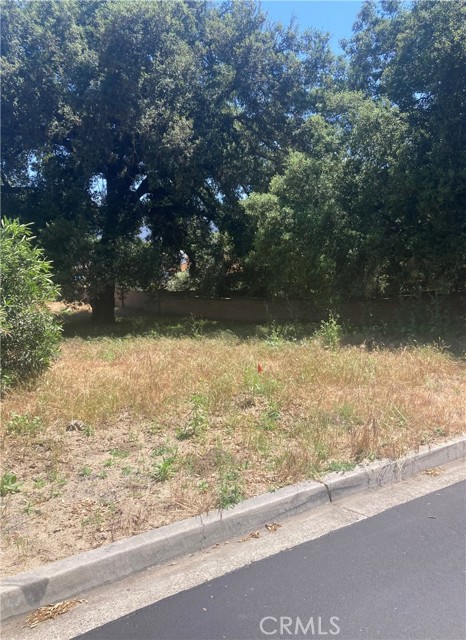 16221 Pauma Valley, Pauma Valley, California 92061, ,Residential Land,For Sale,Pauma Valley,PV24087330