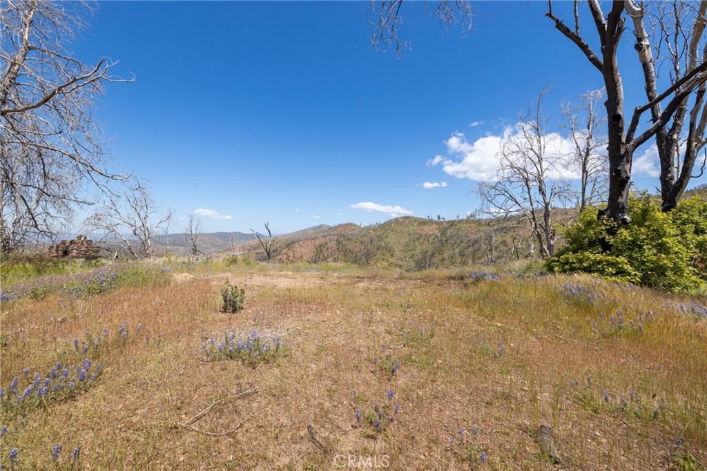 MLS #MP25088475 image #61
