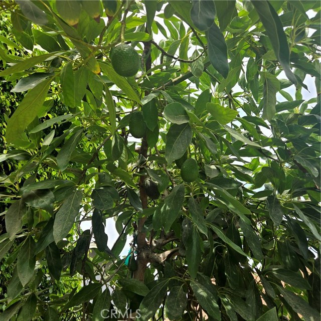 7231 Siena Avenue, Westminster CA: https://media.crmls.org/medias/27039d68-4aab-490f-b897-165247fc6eec.jpg