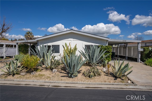 239 Partridge Avenue, Paso Robles, CA, 93446 239 Partridge Avenue, Paso Robles, CA, 93446