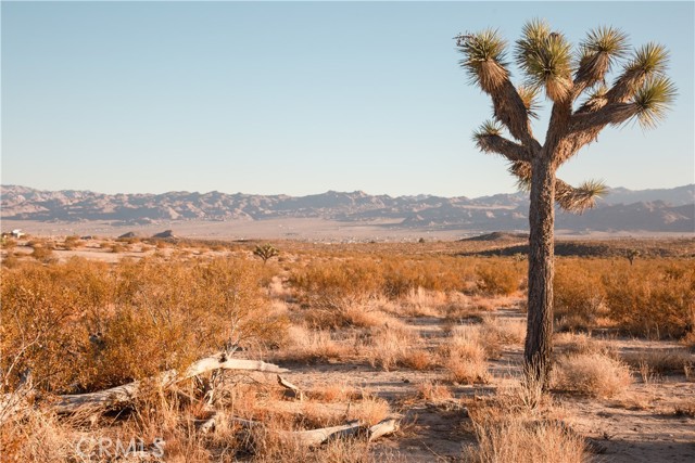 Detail Gallery Image 9 of 24 For 2674 Manana Ave, Joshua Tree,  CA 92252 - – Beds | – Baths