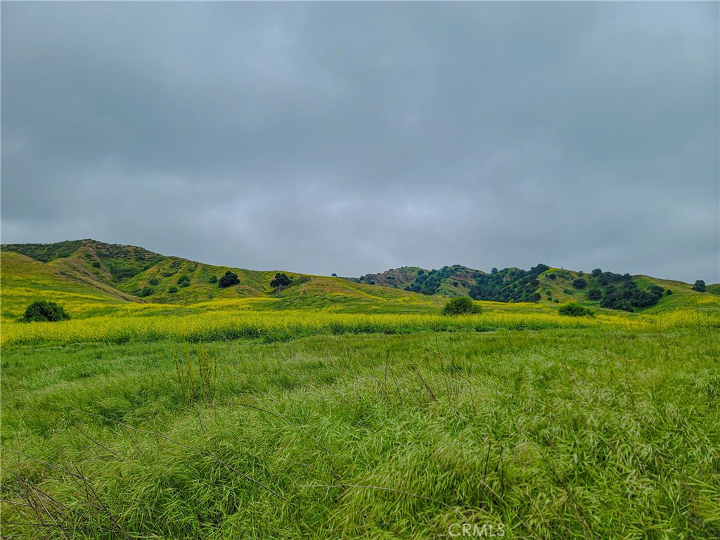 https://media.crmls.org/medias/270fd499-1690-4018-90c0-d7f538988c6f.jpg?preset=X-Large