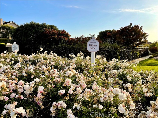 6 Saros, Irvine CA: https://media.crmls.org/medias/271bb56d-7c17-4e72-abf9-f840531ef2bb.jpg