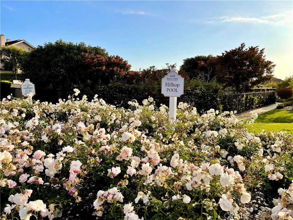 271bb56d 7c17 4e72 Abf9 F840531ef2bb