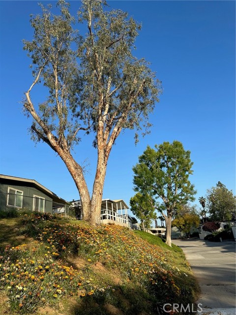 Detail Gallery Image 26 of 40 For 15181 Van Buren Bld #57,  Riverside,  CA 92504 - 3 Beds | 2 Baths