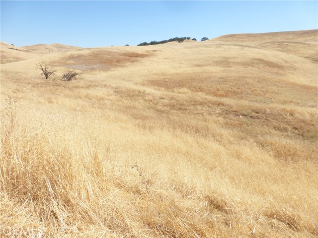 Detail Gallery Image 11 of 42 For 0 Douglas Rd. (Lots 40-43), San Miguel,  CA 93451 - – Beds | – Baths