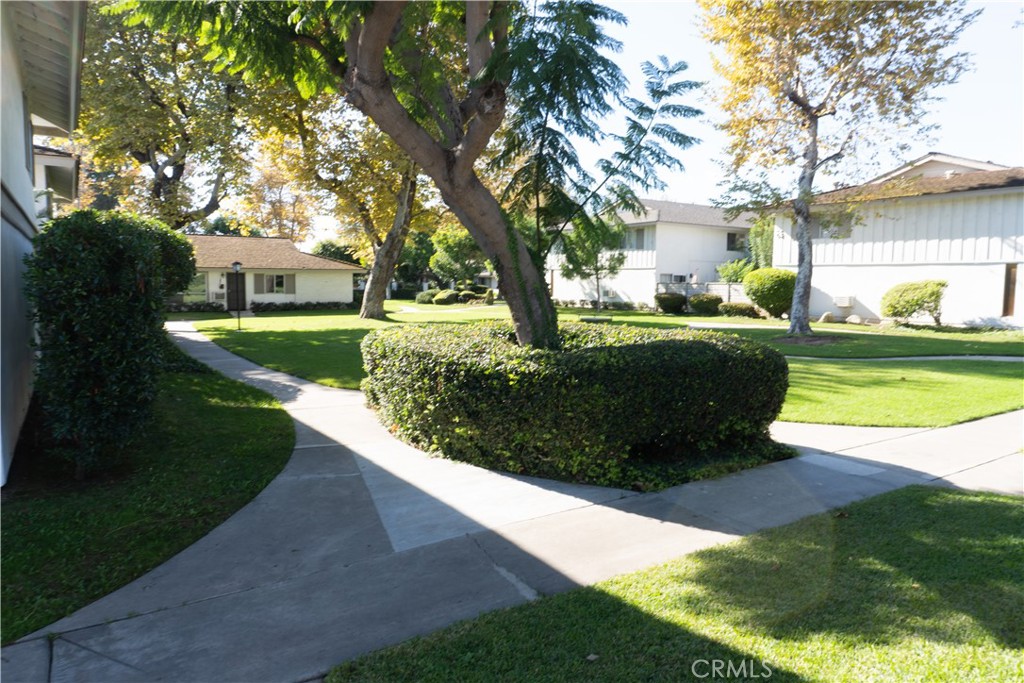 MLS #IV25264433 image #12