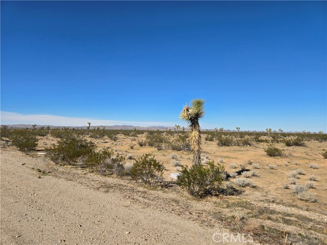 Detail Gallery Image 4 of 7 For 0 Nichols Rd, Adelanto,  CA 92301 - – Beds | – Baths
