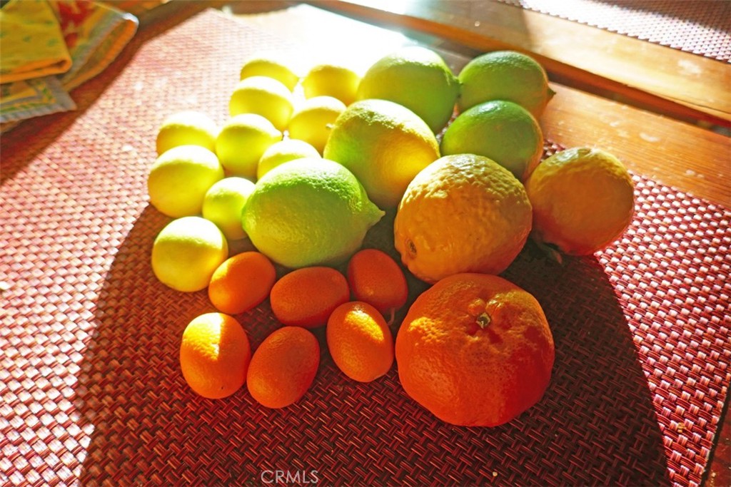 https://media.crmls.org/medias/2725a42b-69c4-4861-9ff2-55351c4f0031.jpg?preset=X-Large