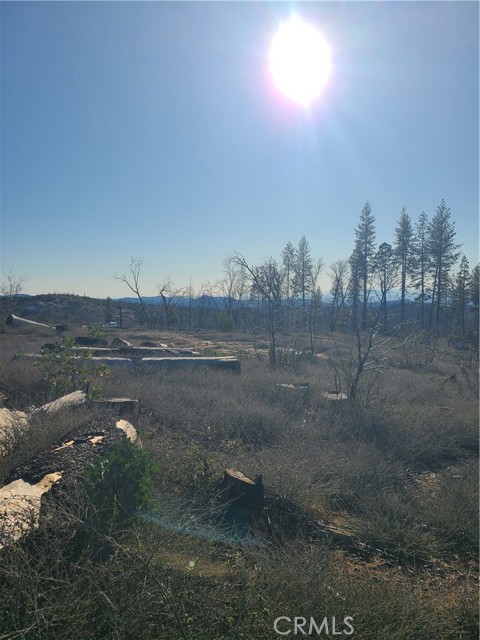 Detail Gallery Image 10 of 10 For 81 Green Cedar, Berry Creek,  CA 95916 - – Beds | – Baths