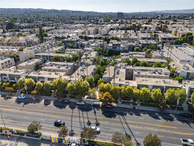 5335 White Oak Avenue, Encino CA: https://media.crmls.org/medias/272c2211-105e-478b-a70e-833cb321b2be.jpg