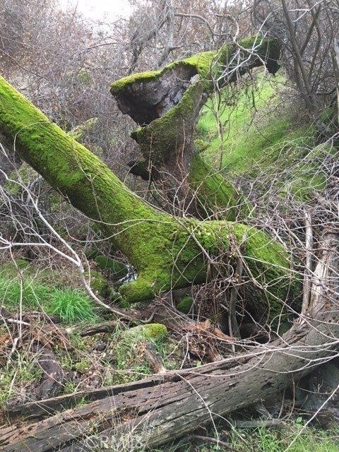 Detail Gallery Image 31 of 64 For 37 Lynx Ln, Prather,  CA 93651 - – Beds | – Baths