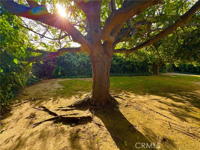 1255 Lawrence Circle, Simi Valley CA: https://media.crmls.org/medias/2732b95c-b6a1-4f38-9464-c1afbec3c53d.jpg