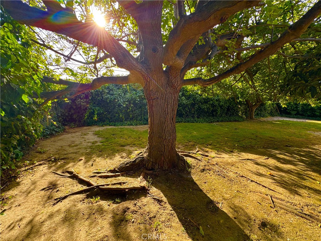 MLS #SR25175669 img 31