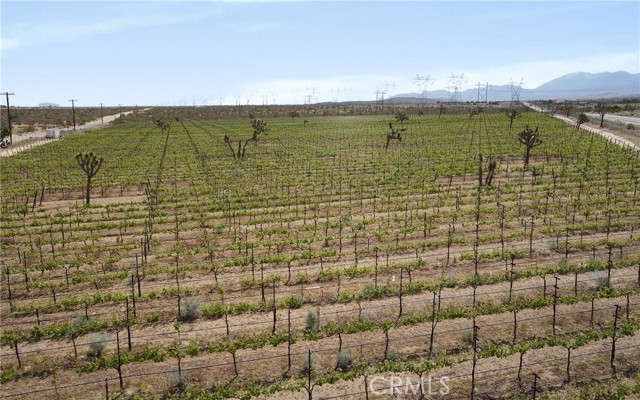 Detail Gallery Image 3 of 12 For 87 E Cor 87th Ste Ft Tejon Av, Palmdale,  CA 93550 - – Beds | – Baths
