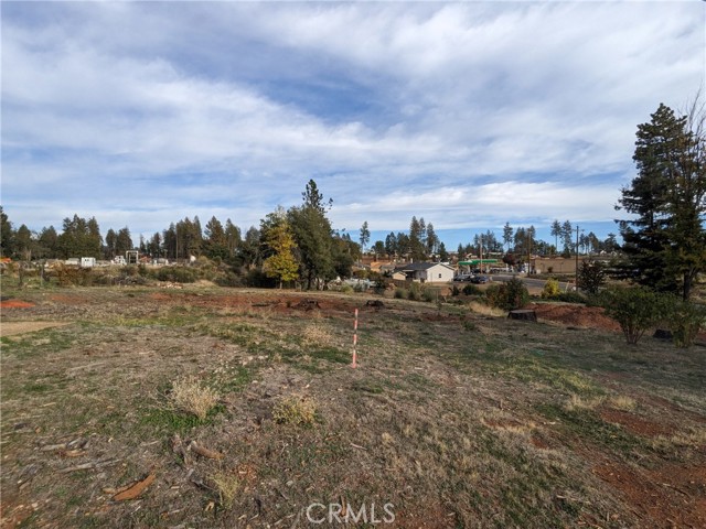 6642 Whittall Lane, Paradise, California 95969, ,Land,For Sale,6642 Whittall Lane,CRSN23205819