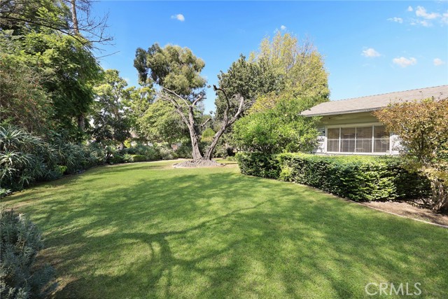 3625 Lombardy photo 3