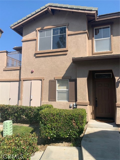 Front Image Thumbnail for CROC25267528