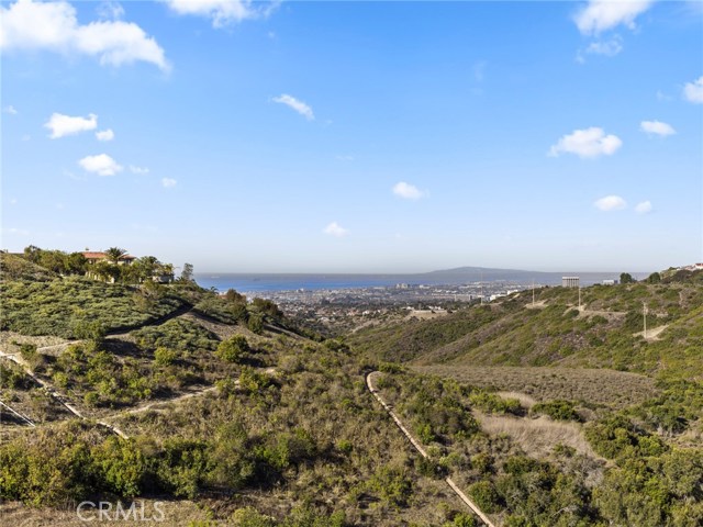 37 Silver Pine Dr, Newport Coast, CA 92657