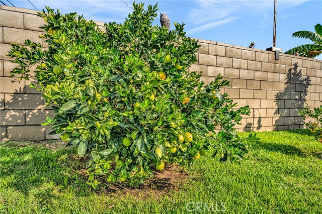 Detail Gallery Image 45 of 54 For 4266 Berkeley, Montclair,  CA 91763 - 3 Beds | 2 Baths