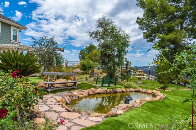 Pond in back yard