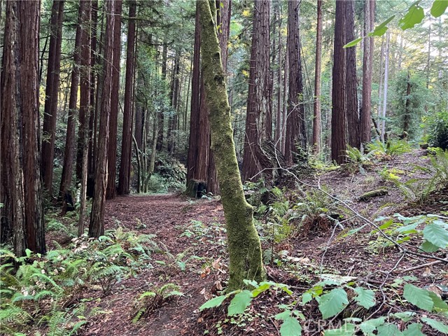 Detail Gallery Image 27 of 40 For 16125 Bittner Rd, Occidental,  CA 95465 - 4 Beds | 2 Baths