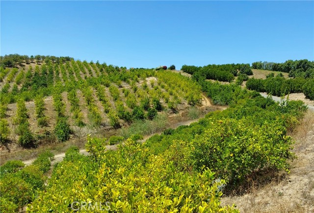 5 De Anza Road, Temecula CA: https://media.crmls.org/medias/275a30e0-0b92-4c60-a9cd-60ec643184c3.jpg