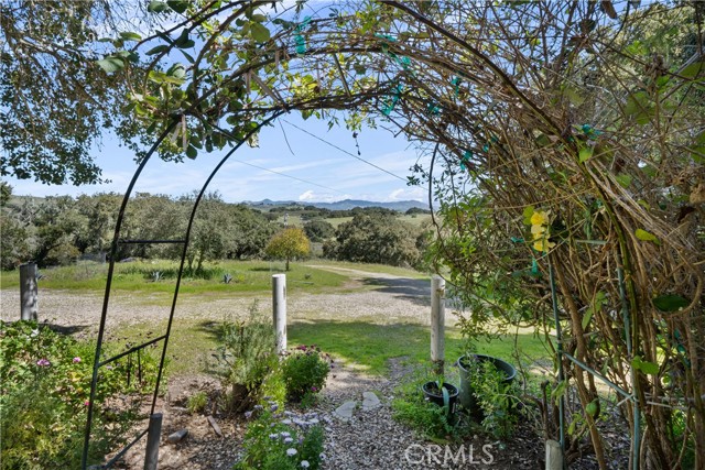 Detail Gallery Image 51 of 55 For 971 Canyon Ridge Rd, Solvang,  CA 93463 - 4 Beds | 2/1 Baths