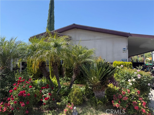Front Image Thumbnail for CRIG26096377
