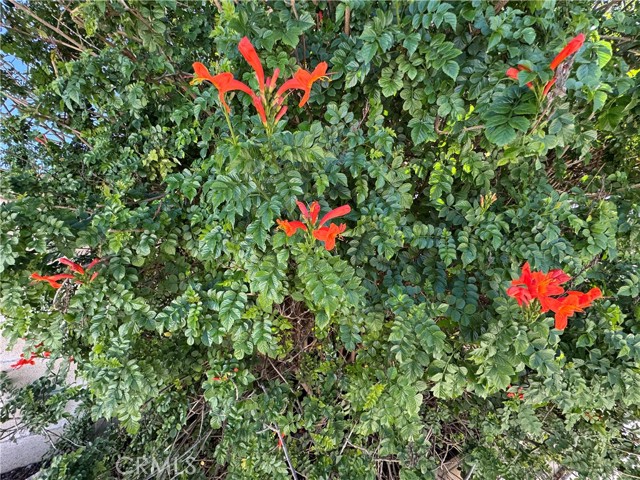 Detail Gallery Image 43 of 45 For 27101 Comwell, Menifee,  CA 92586 - 3 Beds | 2 Baths