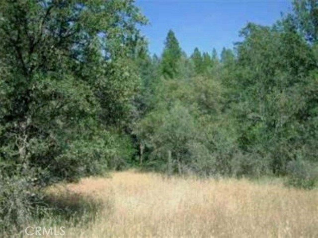 47 Texas Hill Road, Oregon House CA: https://media.crmls.org/medias/277027f1-b135-4373-81a3-0ae3f18458b2.jpg