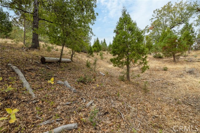 Detail Gallery Image 37 of 55 For 26 Timberview, North Fork,  CA 93643 - – Beds | – Baths