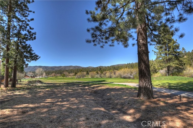 Detail Gallery Image 35 of 50 For 1053 Club View Dr, Big Bear Lake,  CA 92315 - 2 Beds | 2 Baths