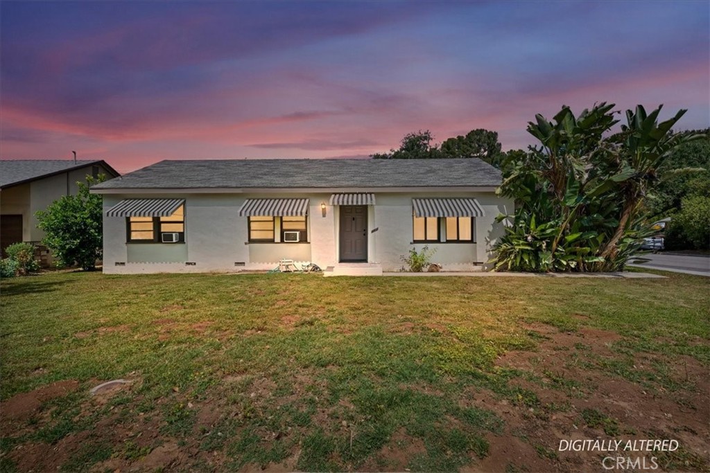 5305 Palm