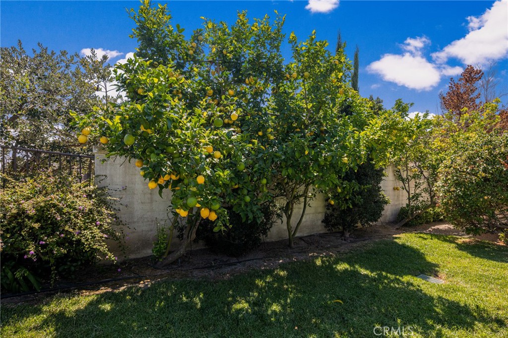 MLS #OC26002514 image #48