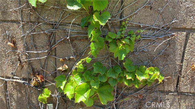 Detail Gallery Image 40 of 54 For 44207 Reidel St, Temecula,  CA 92592 - 5 Beds | 3/1 Baths