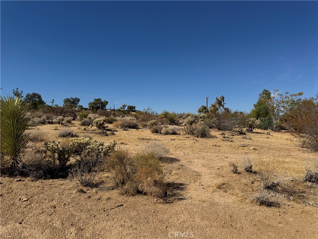 MLS #JT24214164 image #3