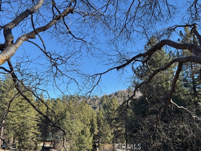 Detail Gallery Image 34 of 40 For 631 Oak Knoll Dr, Green Valley Lake,  CA 92341 - 1 Beds | 1 Baths