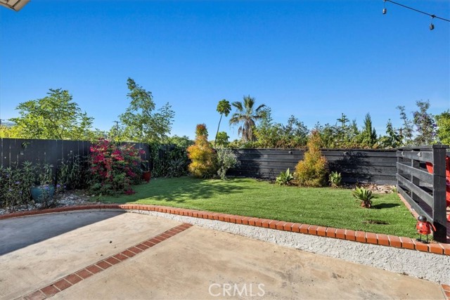 Backyard - drought tolerant plants and artificial turf.