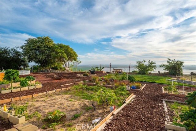 1561 Cielo Lane, Nipomo CA: https://media.crmls.org/medias/2783c856-c3d4-4acf-a102-bf4fd5e0f255.jpg