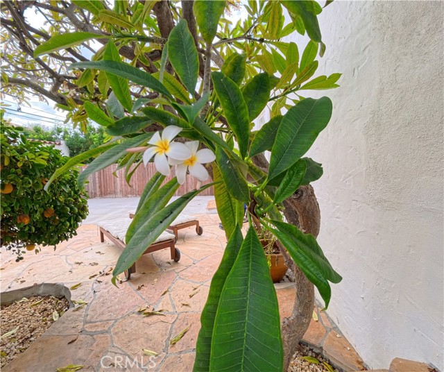 Detail Gallery Image 9 of 17 For 2124 S Redondo, Los Angeles,  CA 90016 - 3 Beds | 2 Baths