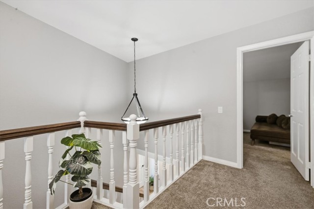23207 Kimmore photo 37