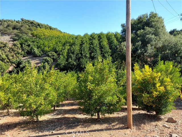 Detail Gallery Image 36 of 38 For 3 via Vaquero, Temecula,  CA 92590 - – Beds | – Baths