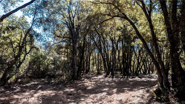 Detail Gallery Image 61 of 65 For 9145 Mombacho Rd, Kelseyville,  CA 95451 - 4 Beds | 2/1 Baths